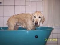 /album/fotogaleria/frizurka-2007-jpg/